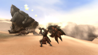 Illustration for article titled Here's What Monster Hunter Tri Looks Like